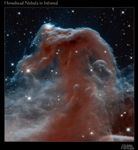 Horse-head neb-IR
