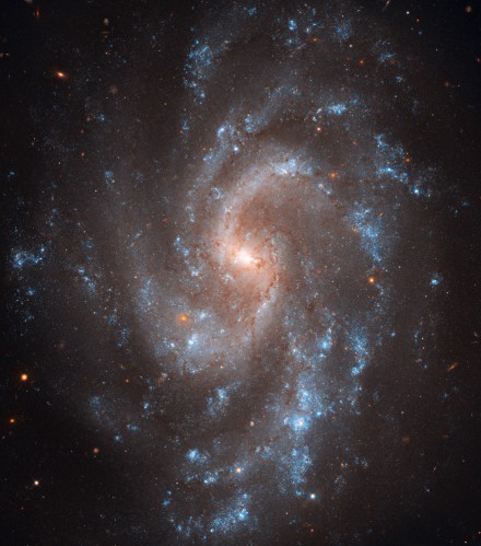 ngc-5584